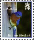 Colnect-2789-062-Eastern-Bluebird-Sialia-sialis.jpg