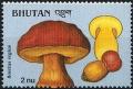 Colnect-2930-747-Boletus-regius.jpg