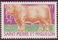 Colnect-875-177-Charolais-Bos-primigenius-taurus.jpg