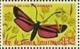 Colnect-1256-977-Transparent-Burnet-Zygaena-purpuralis.jpg