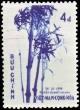 Colnect-1301-029-Bambusa-nitida.jpg