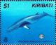 Colnect-2556-699-Minke-Whale-Balaenoptera-acutorostrata.jpg