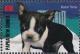 Colnect-4215-349-Boston-terrier.jpg