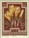 Colnect-136-227-Spring-Crocus-Crocus-vernus.jpg