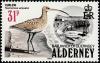 Colnect-4565-917-Eurasian-Curlew-Numenius-arquata.jpg