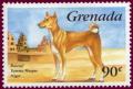 Colnect-1252-656-Basenji-Canis-lupus-familiaris.jpg