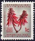 Colnect-769-073-Kafferboom-Flower--Coral-Tree-Erythrina-lysistemon.jpg