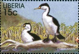 Colnect-3977-576-Australian-Pied-Cormorant-Phalacrocorax-varius.jpg