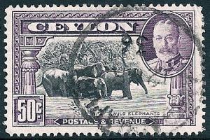 STS-Ceylon-4-300dpi.jpg-crop-476x318at964-280.jpg