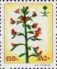 Colnect-3582-161-Cleome-arabica.jpg