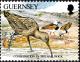 Colnect-5601-819-Eurasian-Curlew-Numenius-arquata.jpg