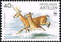 Colnect-2205-852-White-tailed-Deer-Odocoileus-virginianus.jpg