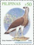 Colnect-2876-056-Grey-headed-Fish-Eagle-Ichthyophaga-ichthyaetus.jpg