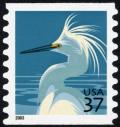 Colnect-3657-717-Snowy-Egret-Egretta-thula.jpg