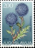 Colnect-5493-416-Echinops-Ritro.jpg