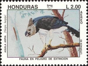 Colnect-4563-616-Harpy-Eagle-Harpia-harpyja.jpg