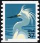 Colnect-3657-717-Snowy-Egret-Egretta-thula.jpg