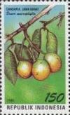 Colnect-1141-802-Flora-and-Fauna--Bouea-macrophylla.jpg