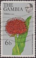 Colnect-1510-178-Fireball-Lily.jpg