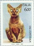 Colnect-178-758-Devon-Rex-Felis-silvestris-catus.jpg