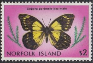 Colnect-2132-716-Caper-Gull-Cepora-perimale.jpg