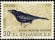 Colnect-1102-149-Great-tailed-Grackle-Quiscalus-mexicanus.jpg
