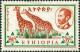 Colnect-4450-531-Giraffe-Giraffa-camelopardalis.jpg