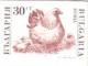Colnect-4934-858-Hen-Chicks-Gallus-gallus-domesticus---Imperforated.jpg