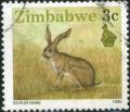 Colnect-4007-493-Scrub-Hare-Lepus-saxatilis.jpg