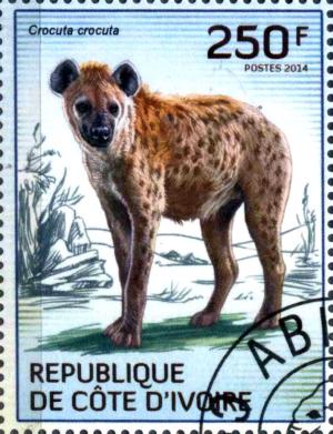 Colnect-3444-454-Spotted-Hyena-Crocuta-crocuta.jpg