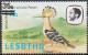 Colnect-4202-274-African-Hoopoe-Upupa-africana.jpg