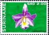 Colnect-4220-900-Laeliocattleya.jpg