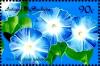 Colnect-4103-314-Morning-glory.jpg