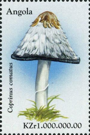 Colnect-2979-953-Shaggy-Mane-Coprinus-comatus.jpg