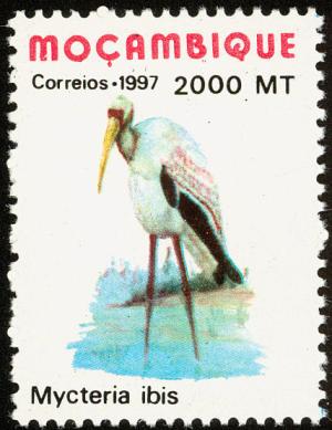 Colnect-3370-394-Mycteria-ibis.jpg