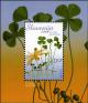 European-Water-Clover---Marsilea-quadrifolia.jpg