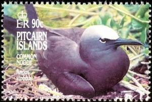 Colnect-2648-973-Brown-Noddy-Anous-stolidus.jpg
