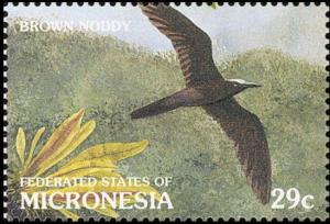 Colnect-3137-396-Brown-Noddy-Anous-stolidus.jpg