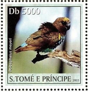 Colnect-3685-937-Meyer--s-Parrot-nbsp--nbsp--nbsp--nbsp-Poicephalus-meyeri.jpg