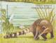 Colnect-4043-701-South-American-Coati-Nasua-nasua-Great-Egret-Casmerodius.jpg