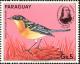 Colnect-1724-431-Tropical-Parula-Parula-pitiayumi.jpg