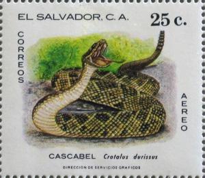 Colnect-2230-586-South-American-Rattlesnake-Crotalus-durissus.jpg