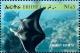 Colnect-3531-340-Manta-Ray-Manta-birostris.jpg