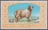Colnect-1465-559-Karakul-Sheep-Ovis-ammon-aries.jpg