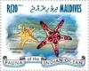 Colnect-4291-000-Horned-Sea-Star-Protoreaster-nodosus.jpg
