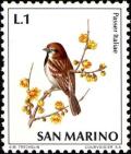 Colnect-1687-532-Italien-sparrow-Passer-italiae.jpg