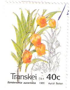 Colnect-2802-779-Flowers-Sandersonia-aurantiaca.jpg
