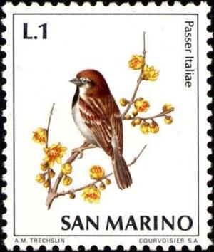 Colnect-1687-532-Italien-sparrow-Passer-italiae.jpg