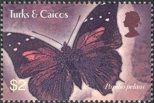 Colnect-2590-212-Prickly-Ash-Swallowtail-Papilio-pelaus.jpg