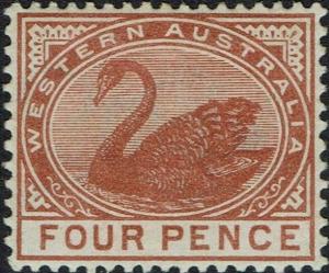 Colnect-5562-565-Black-Swan-Cygnus-atratus.jpg